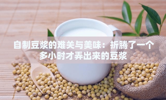 自制豆浆的难关与美味：折腾了一个多小时才弄出来的豆浆