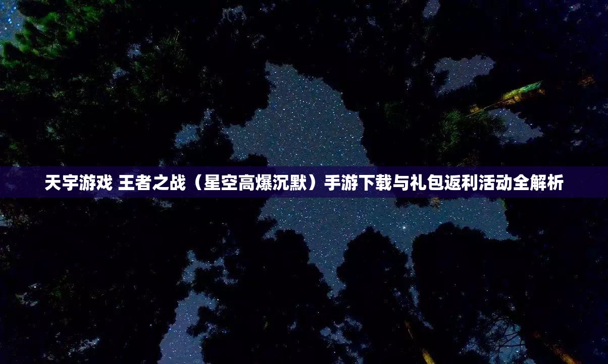 天宇游戏 王者之战（星空高爆沉默）手游下载与礼包返利活动全解析