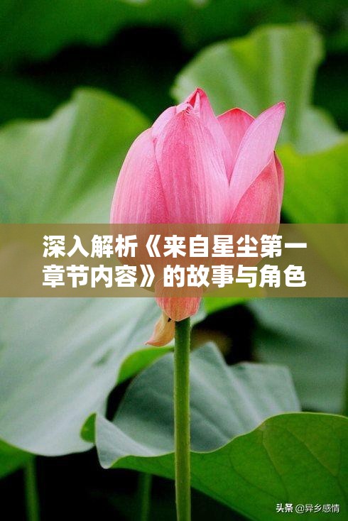 深入解析《来自星尘第一章节内容》的故事与角色