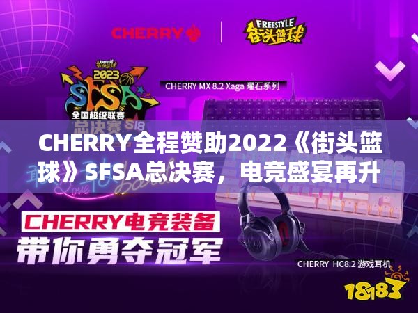 CHERRY全程赞助2022《街头篮球》SFSA总决赛，电竞盛宴再升级