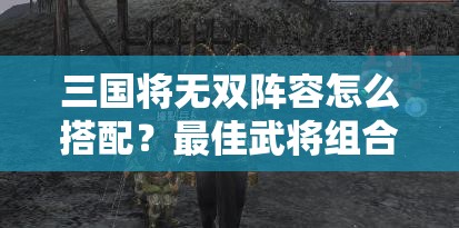 三国将无双阵容怎么搭配？最佳武将组合推荐