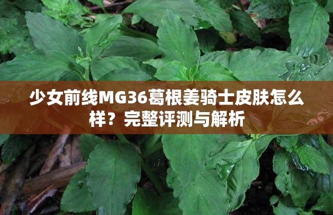 少女前线MG36葛根姜骑士皮肤怎么样？完整评测与解析