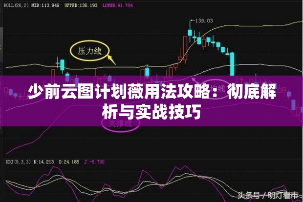 少前云图计划薇用法攻略：彻底解析与实战技巧